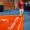 Prophet walking on the Birthplace of Champions Carpet